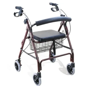 Andador con asiento y 4 ruedas premium